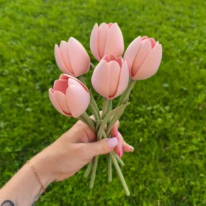 Tulipán 3D