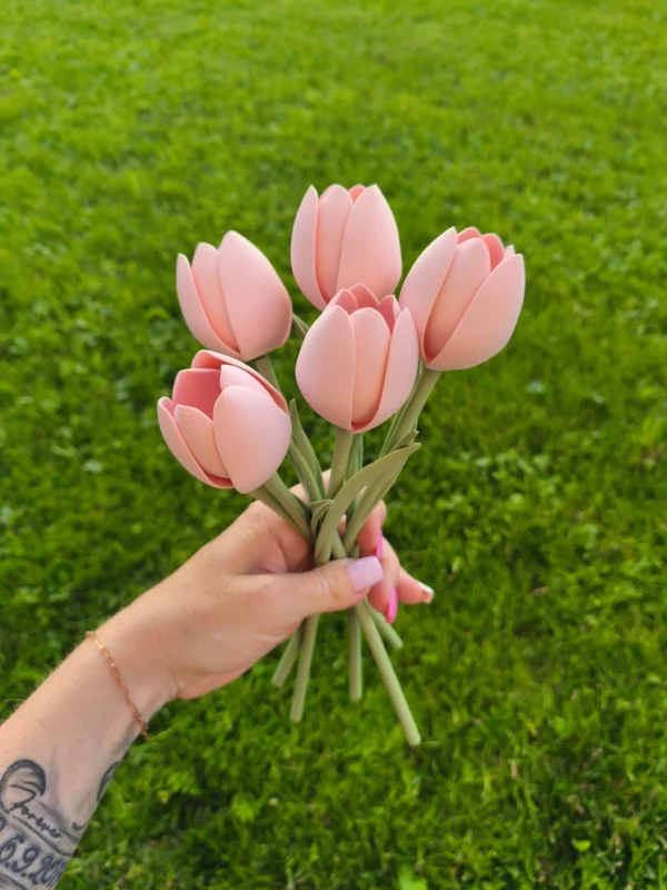 Tulipán 3D